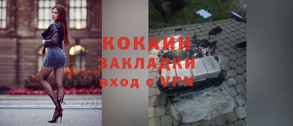 ГАЛЛЮЦИНОГЕННЫЕ ГРИБЫ Ельня