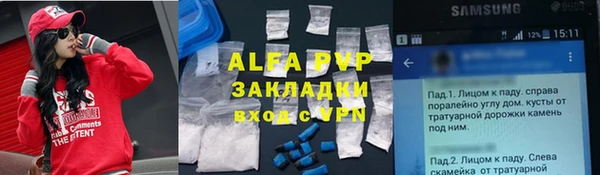 ГАЛЛЮЦИНОГЕННЫЕ ГРИБЫ Ельня
