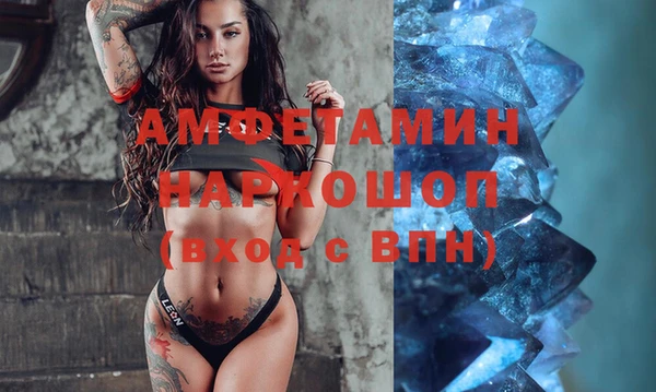 ГАЛЛЮЦИНОГЕННЫЕ ГРИБЫ Ельня