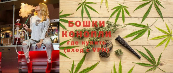 ГАЛЛЮЦИНОГЕННЫЕ ГРИБЫ Ельня